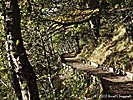Lochside Path